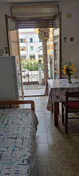Nardone al centro San Benedetto Del Tronto
